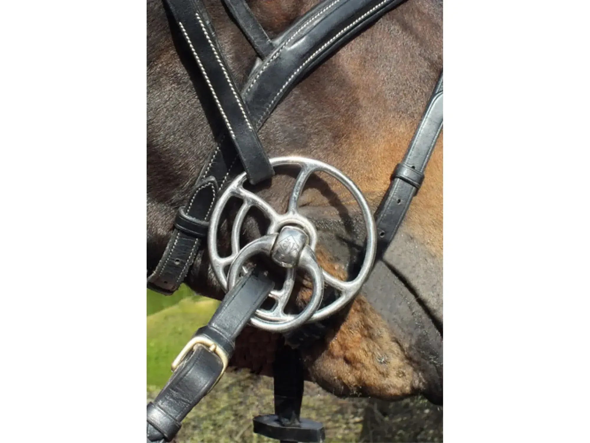 John Whitaker Copper Bullet Mouth