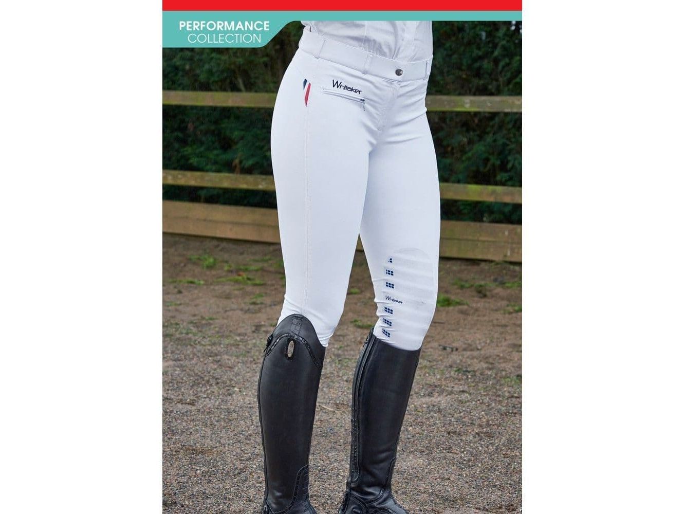 John Whitaker Dortmund Ladies Performance Breeches with Aqua-X