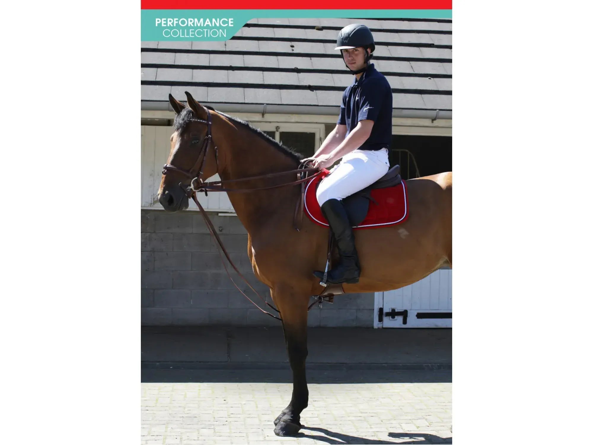 John Whitaker Draw Reins With Elastic Insert