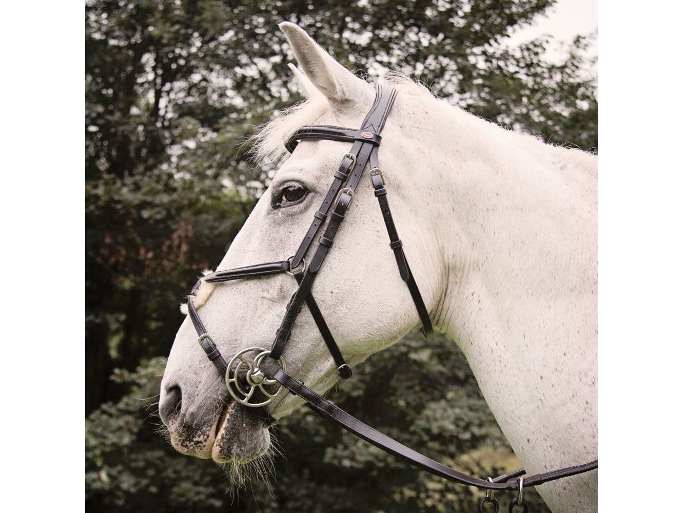John Whitaker Eastwood Mexican Bridle with Reins