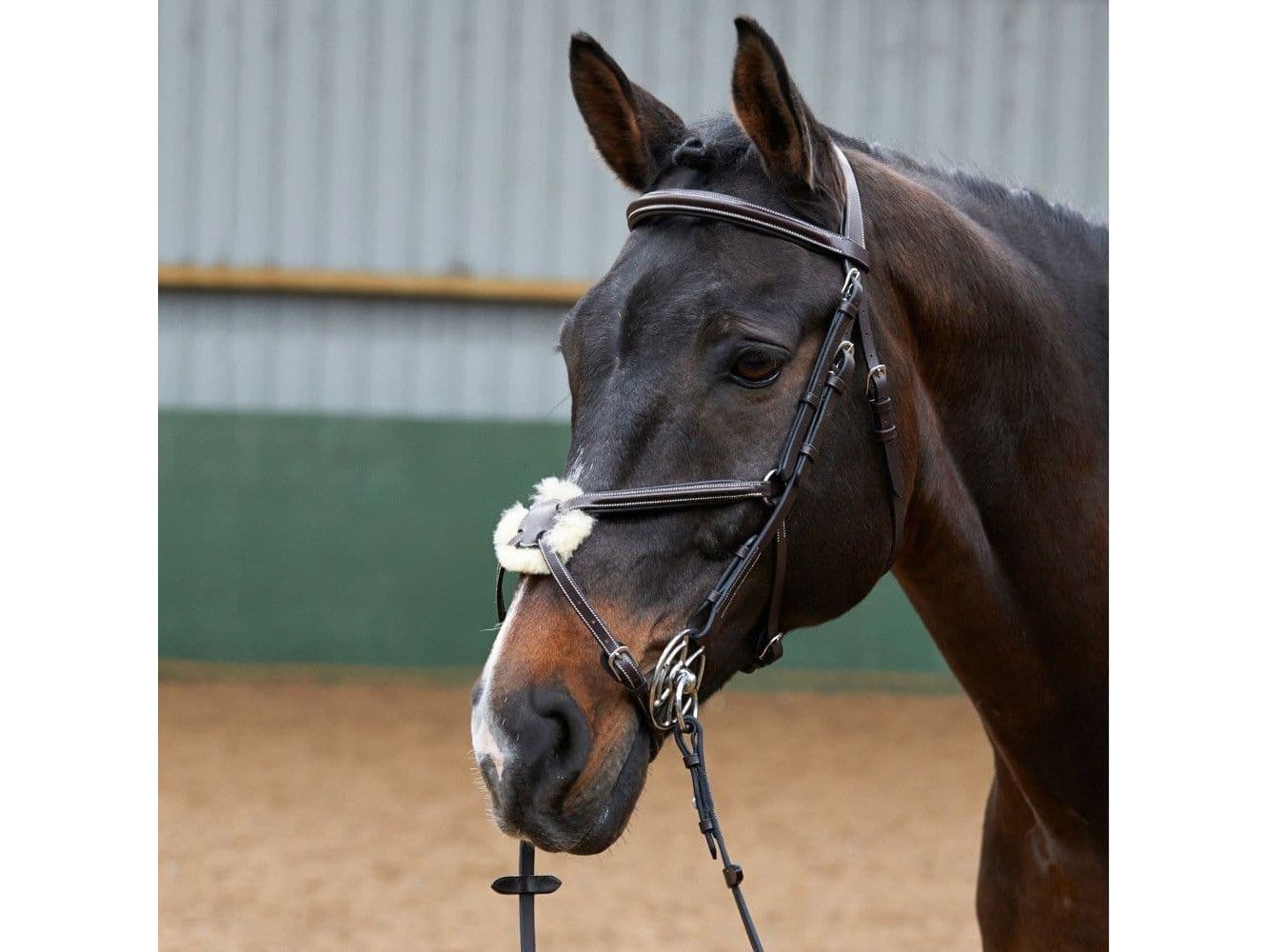 John Whitaker Eastwood Mexican Bridle with Reins