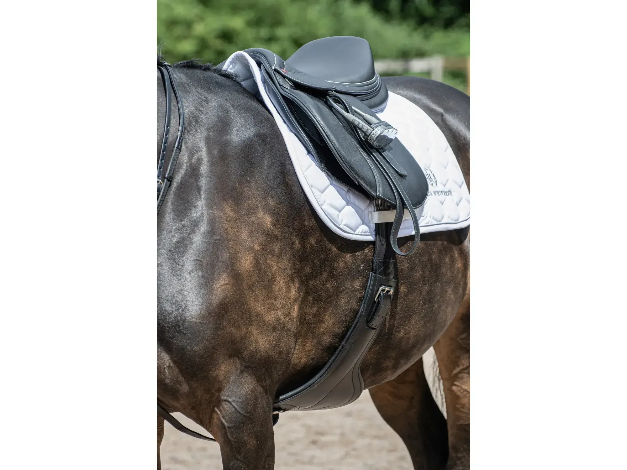 John Whitaker Full Leather Adjustable Stud Guard