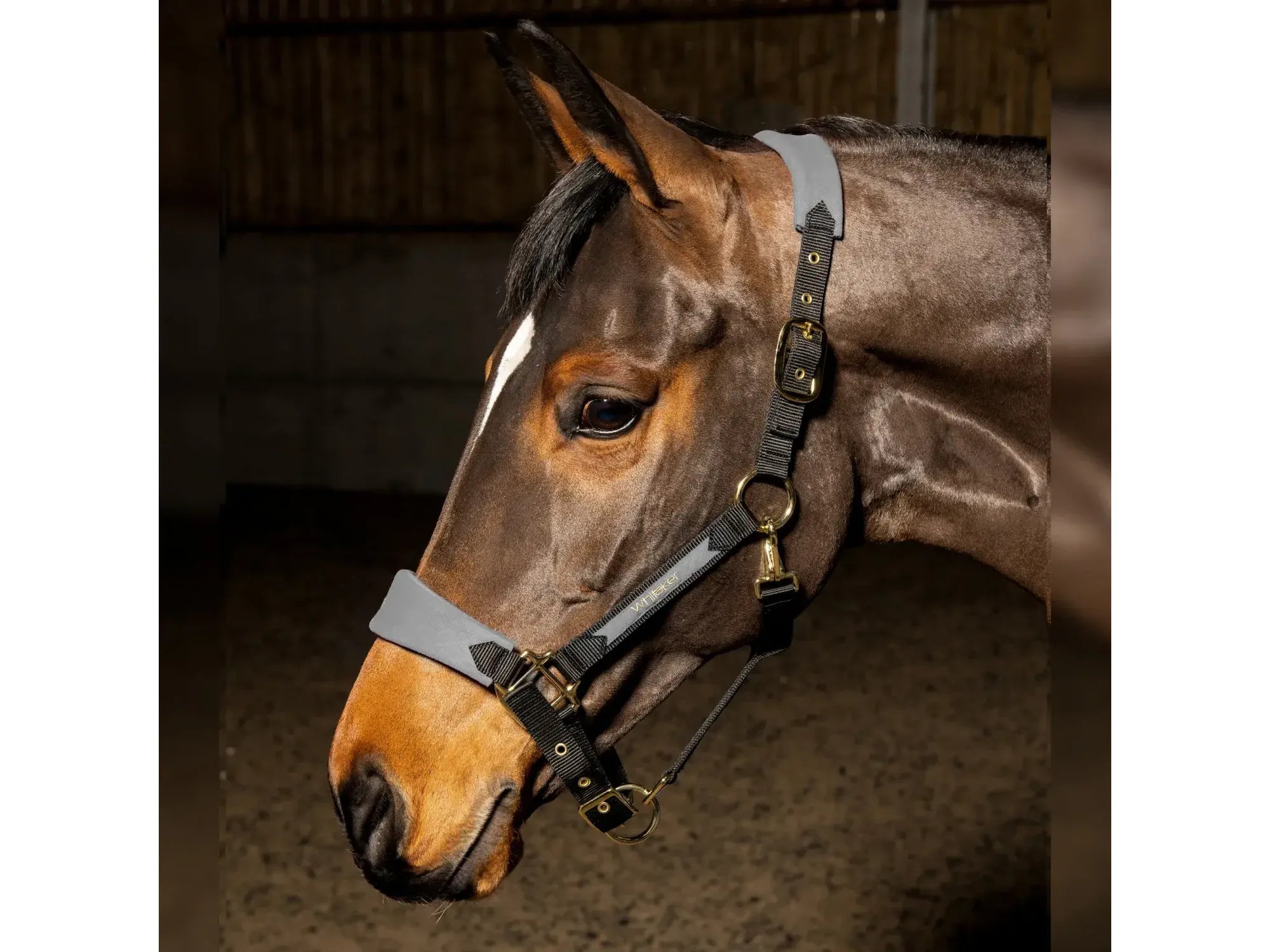 John Whitaker Harewood Headcollar