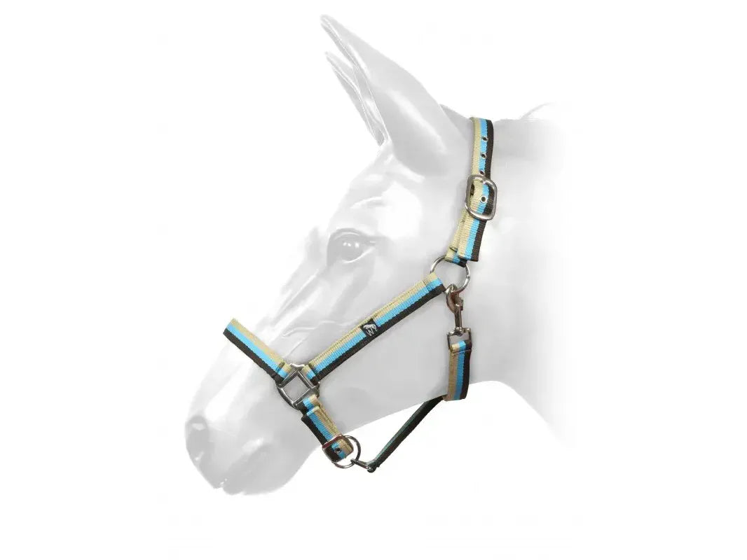 John Whitaker Harvey Headcollar in Brown, Turq, Beige