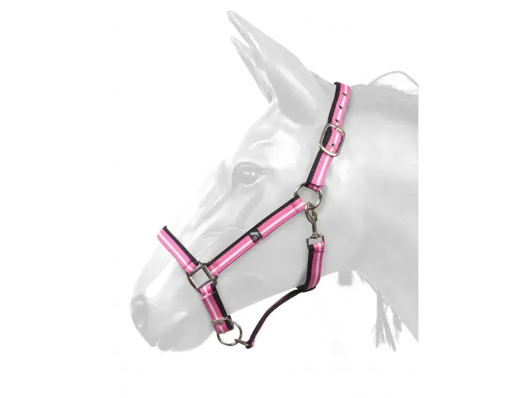 John Whitaker Harvey Headcollar in Pink and White
