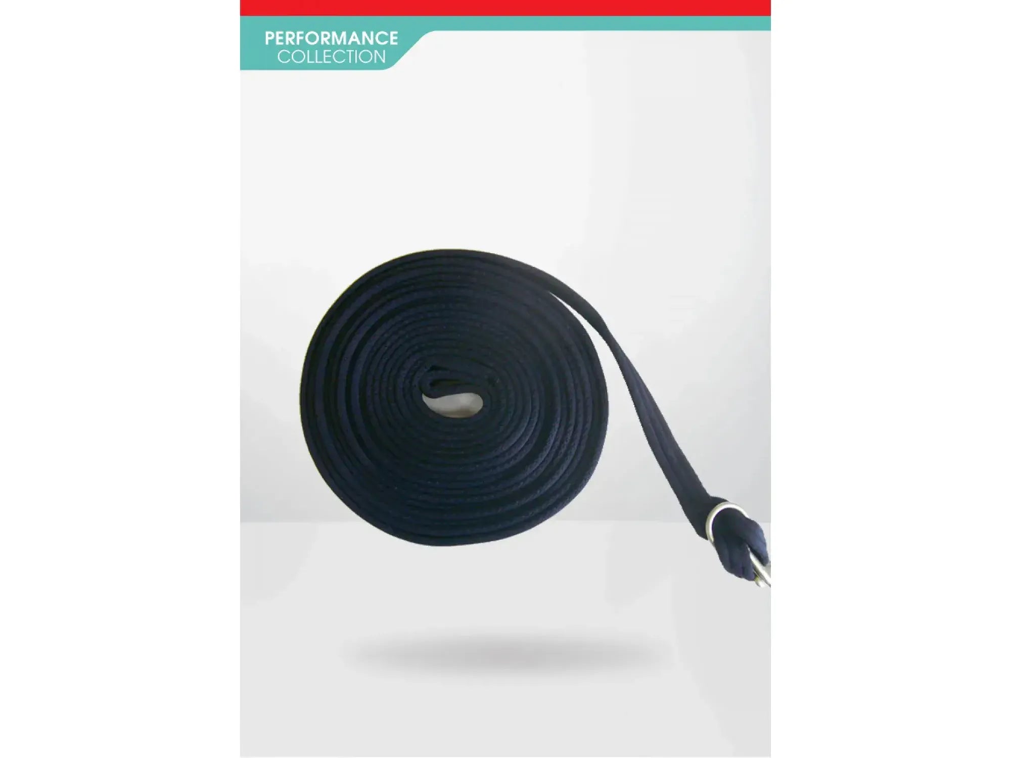 John Whitaker Lunge Line