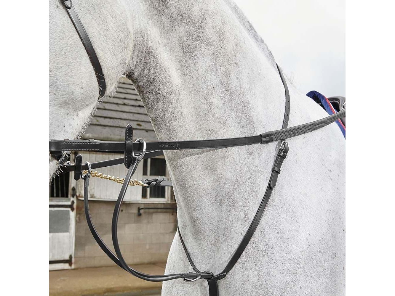 John Whitaker Lynton Running Martingale