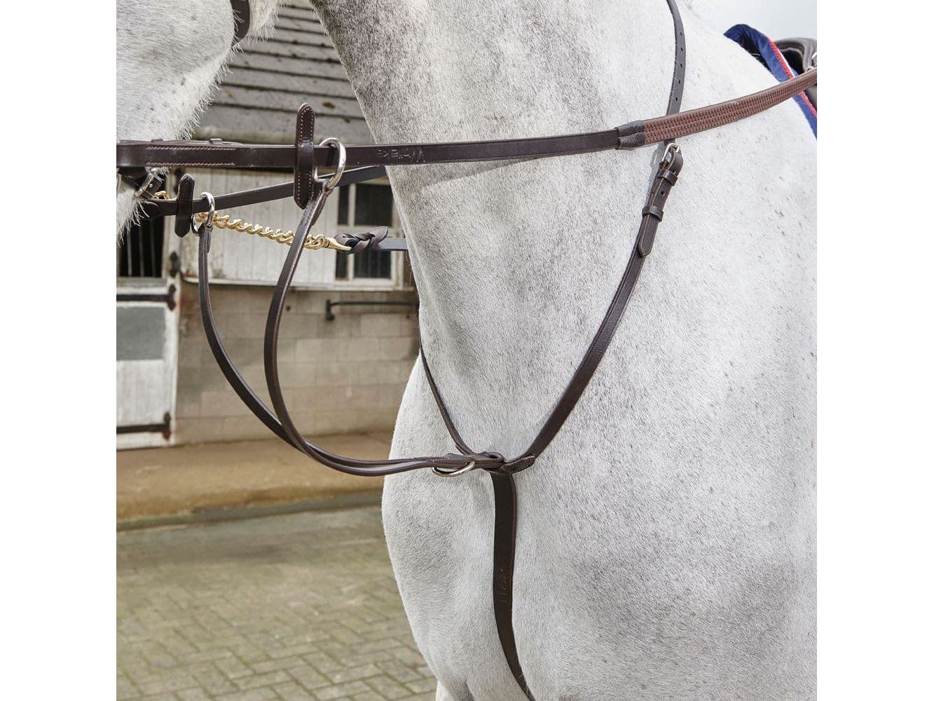 John Whitaker Lynton Running Martingale