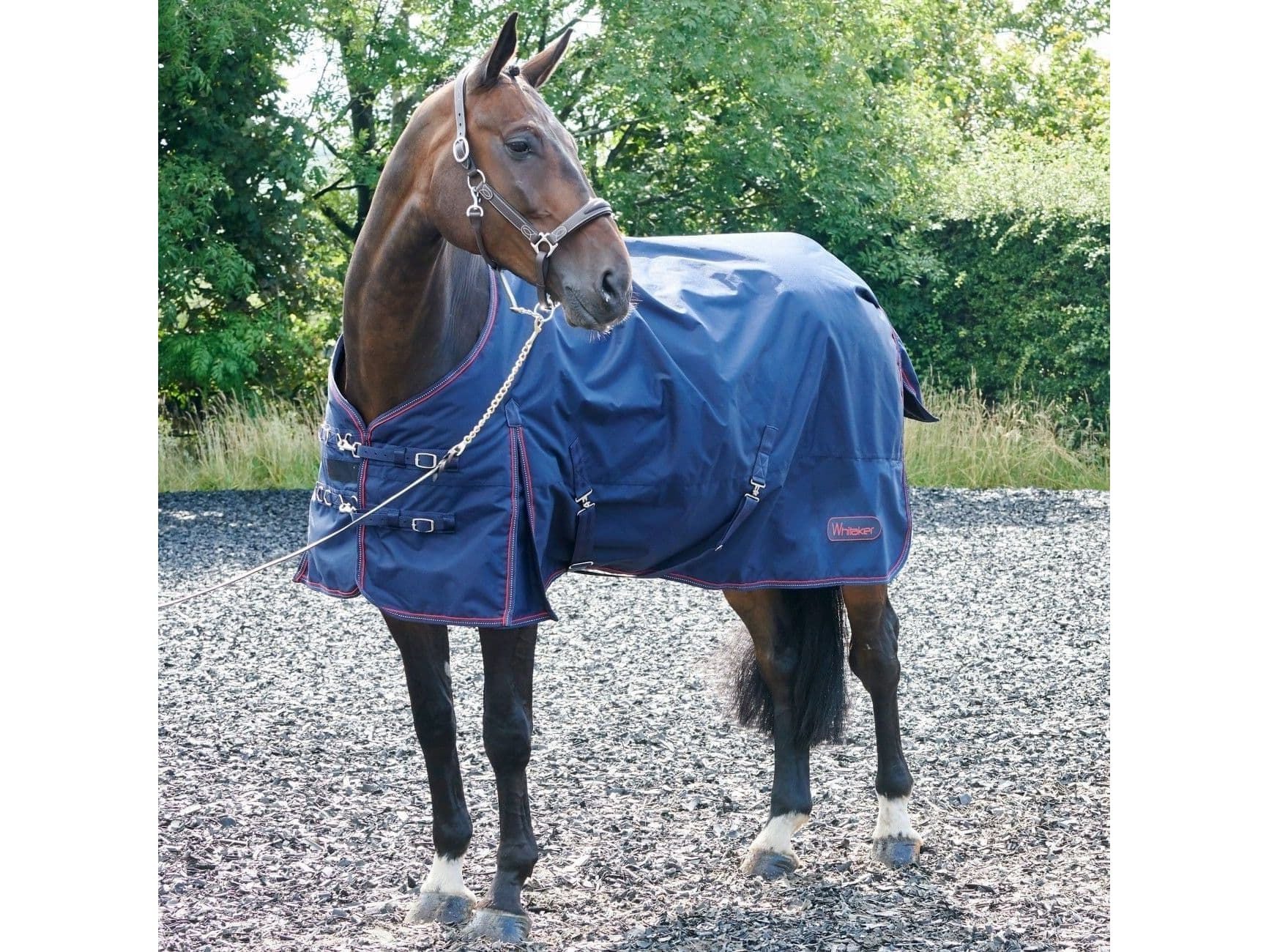 John Whitaker Rastrick 200g Turnout Rug - Navy