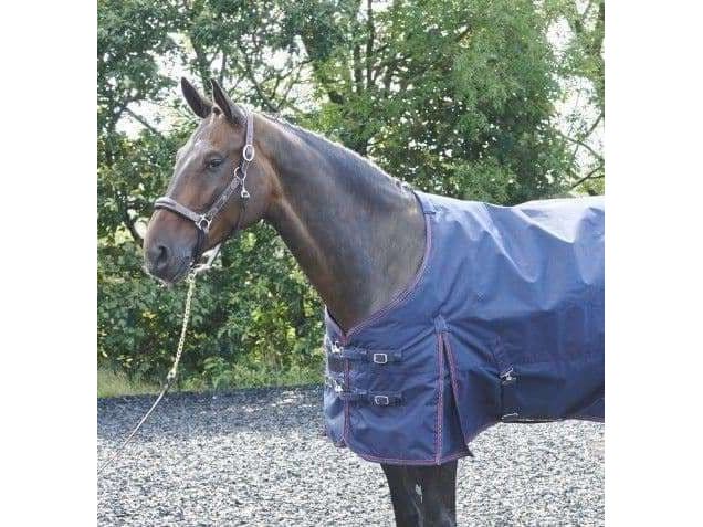 John Whitaker Rastrick 200g Turnout Rug - Navy