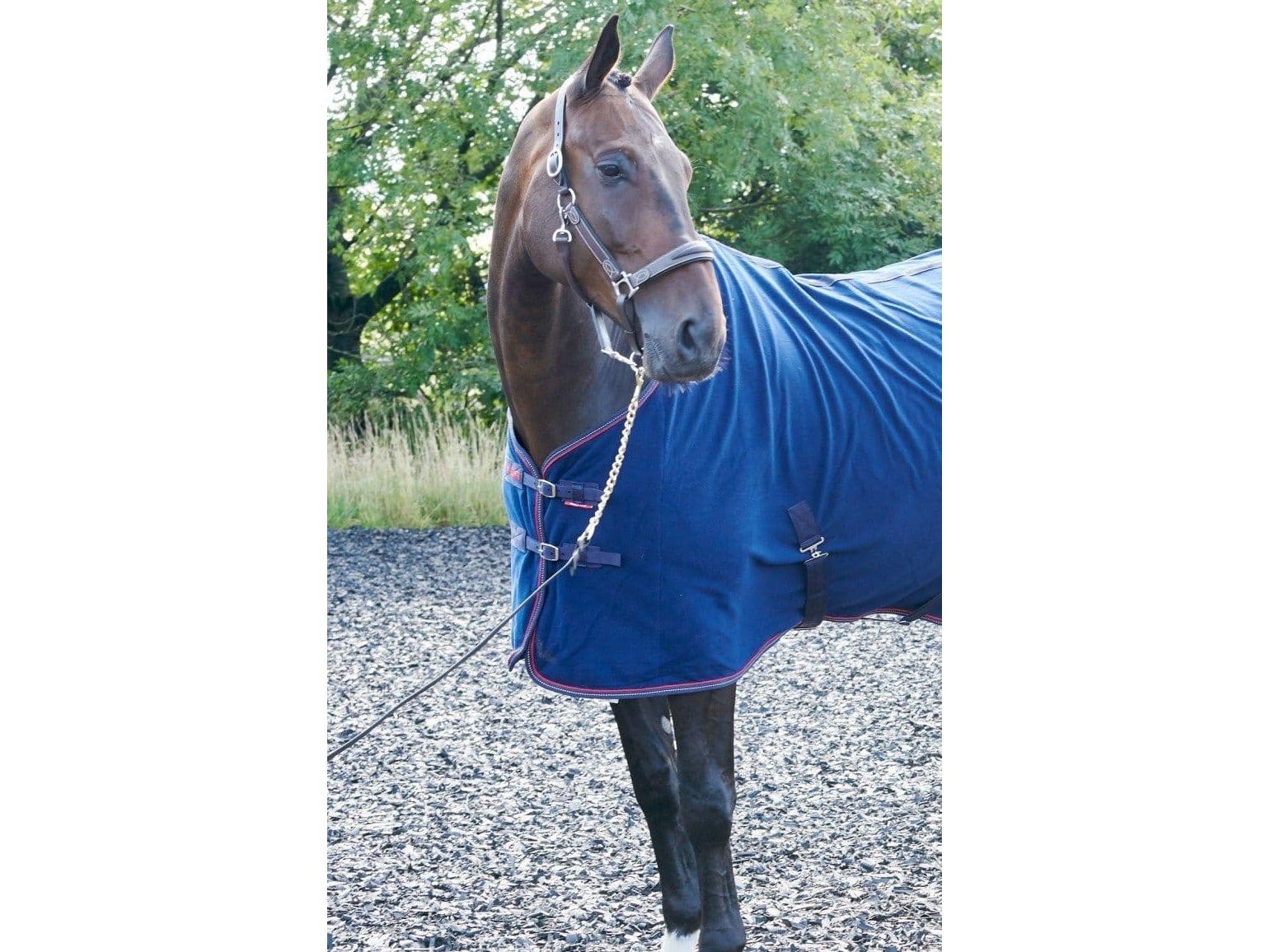 John Whitaker Rastrick Fleece Rug - Navy