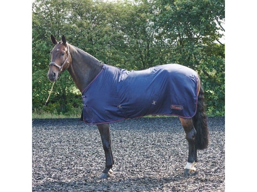 John Whitaker Rastrick Multipurpose Rug
