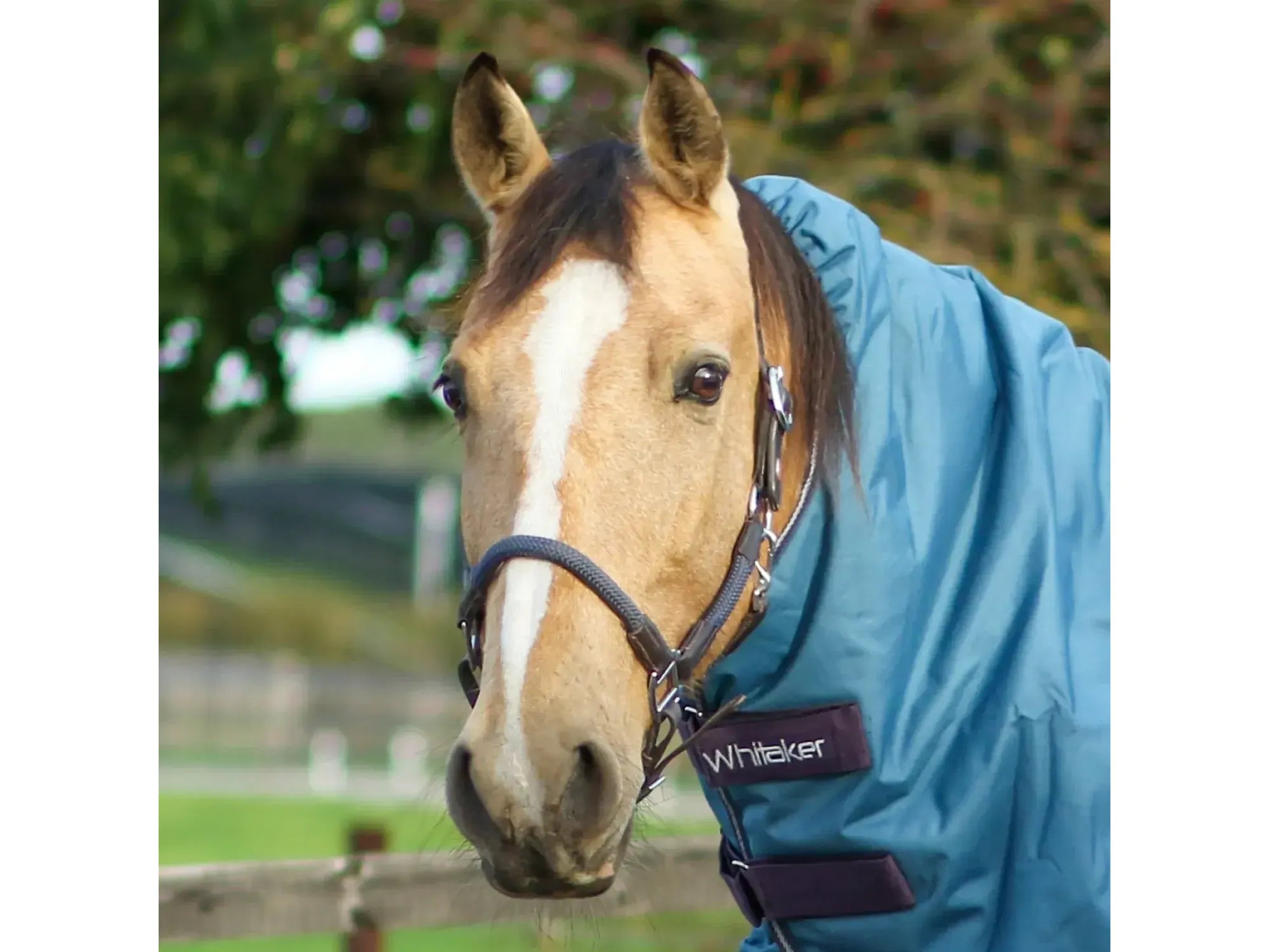 John Whitaker Raywell Soft Rope Headcollar
