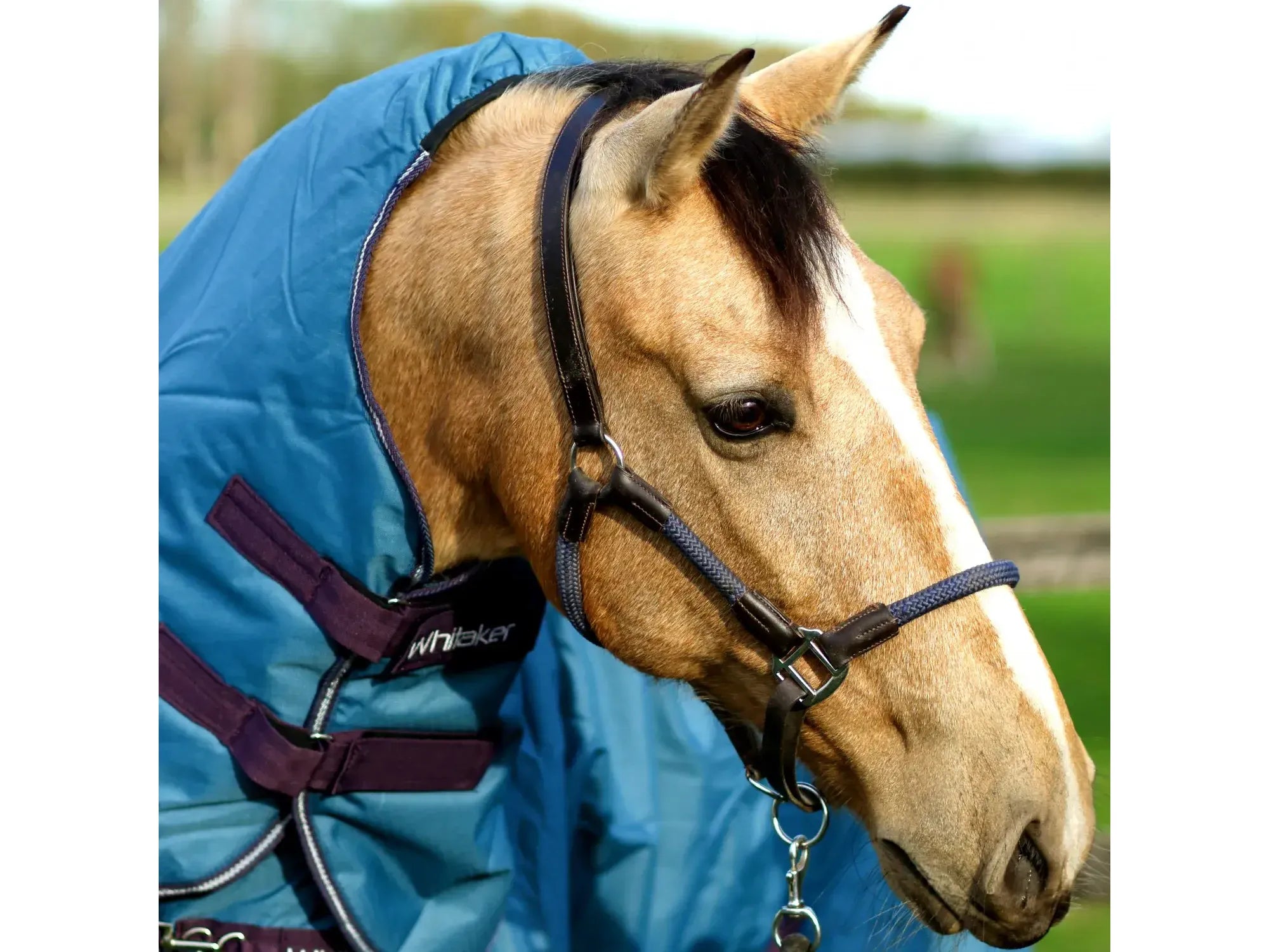 John Whitaker Raywell Soft Rope Headcollar