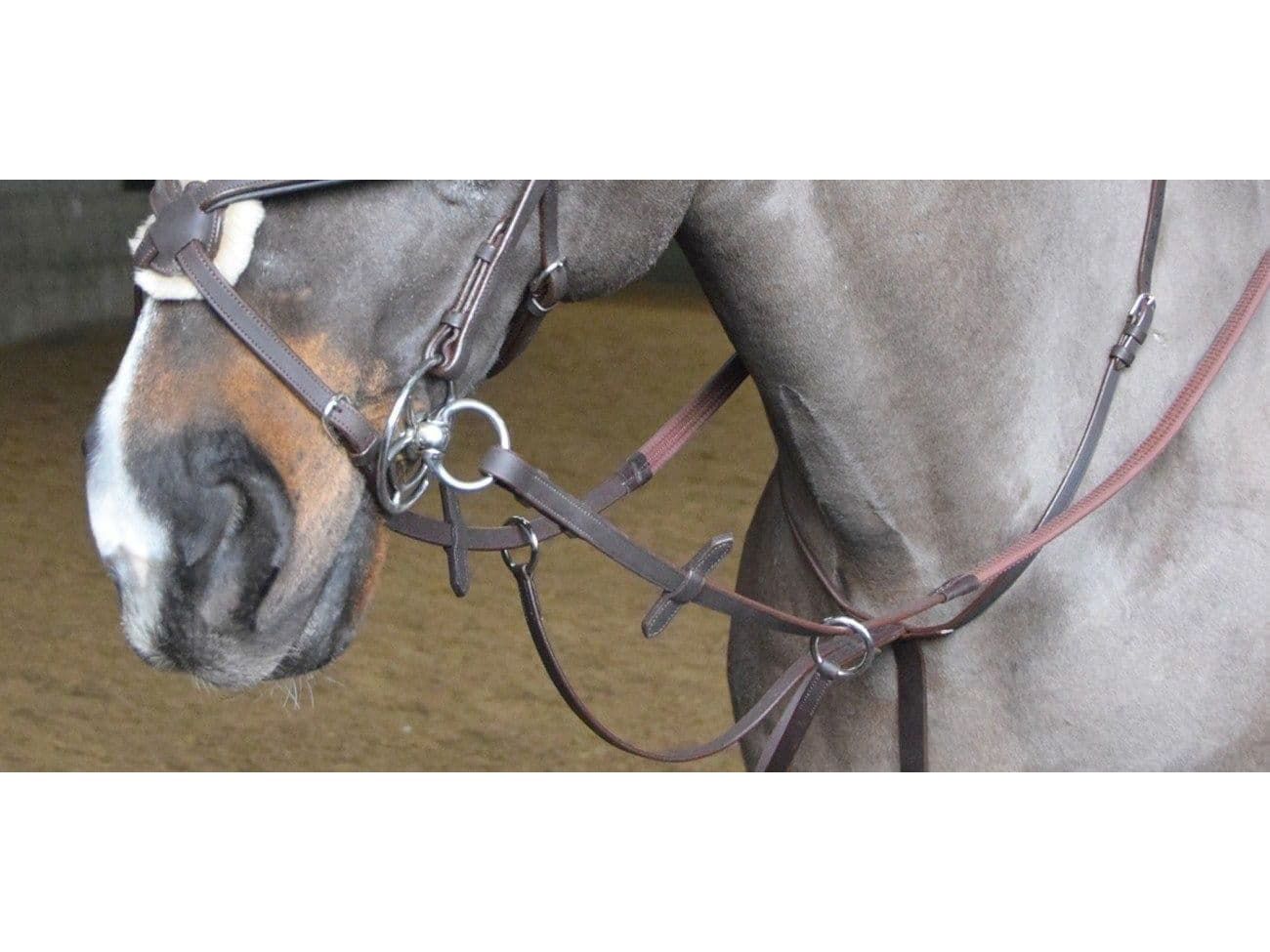 John Whitaker Ready to Ride Martingale