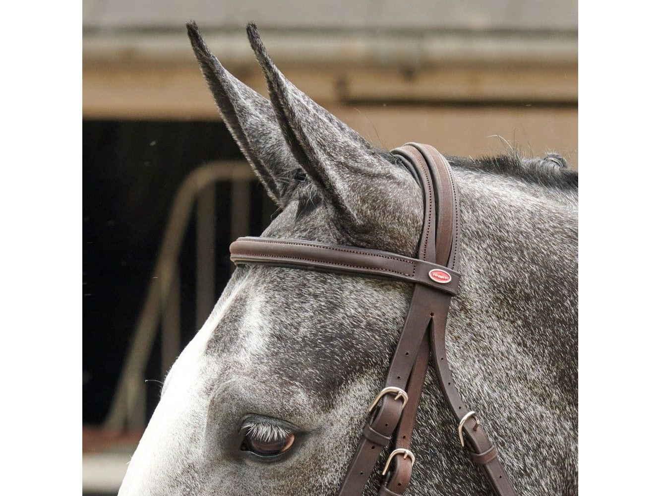 John Whitaker Ready to Ride Mexican Bridle