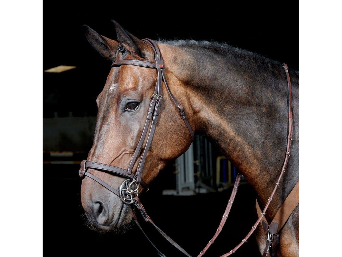 John Whitaker Ready to Ride Snaffle Bridle