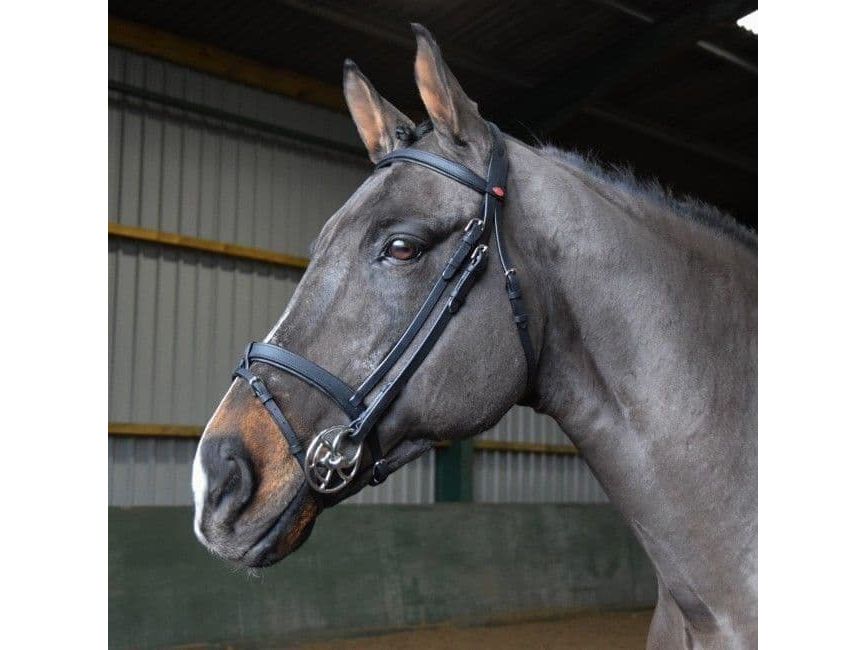 John Whitaker Ready to Ride Snaffle Bridle