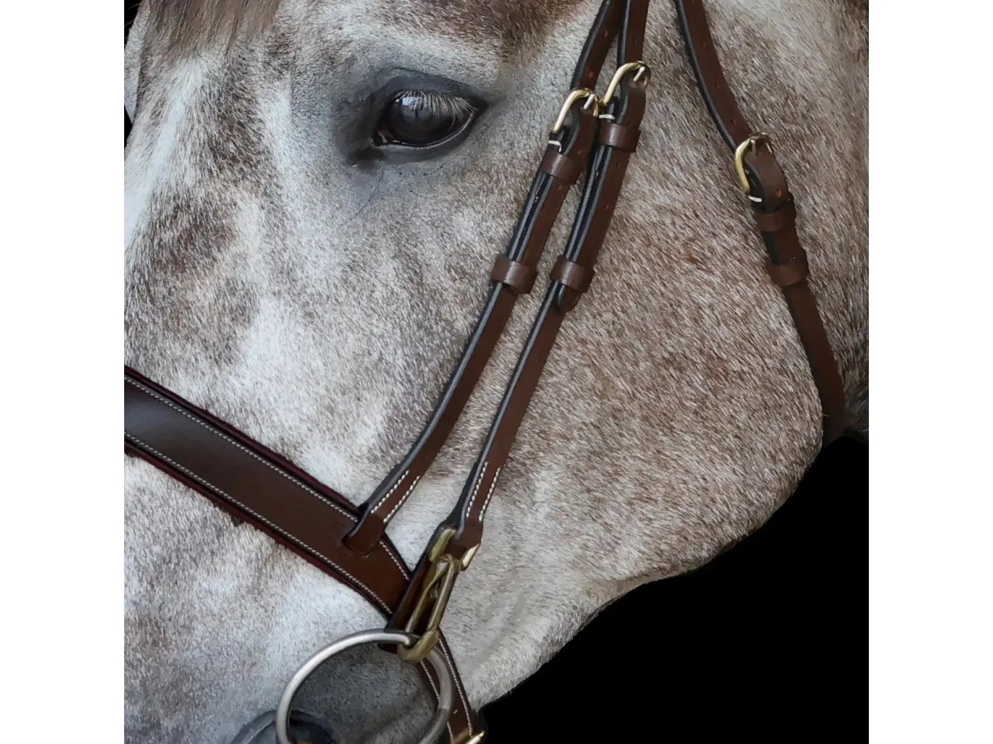 John Whitaker Rome Bridle with Reins - Available in Cob or Full - Black or Havana, Pick'n'Mix