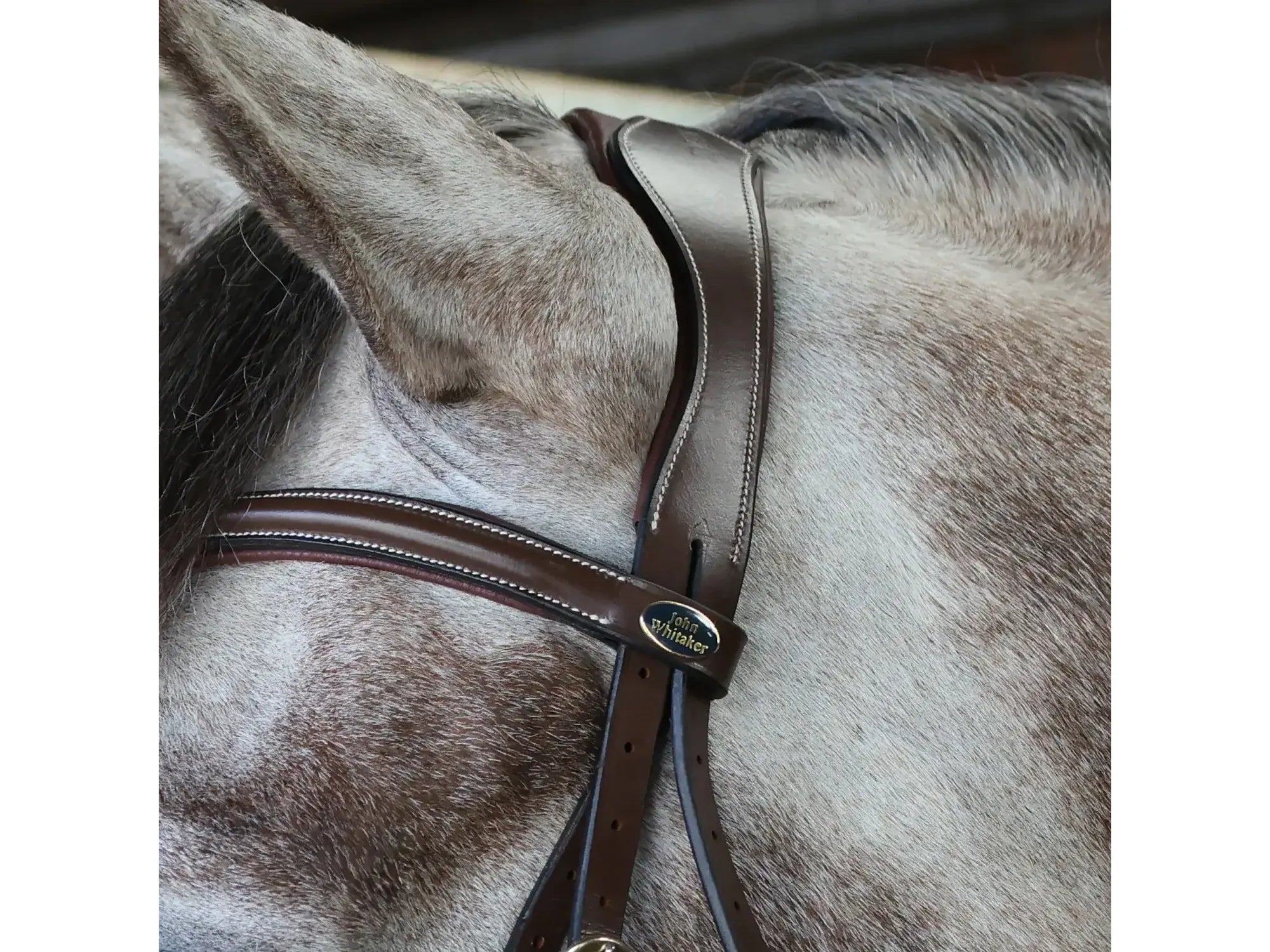 John Whitaker Rome Bridle with Reins - Available in Cob or Full - Black or Havana, Pick'n'Mix