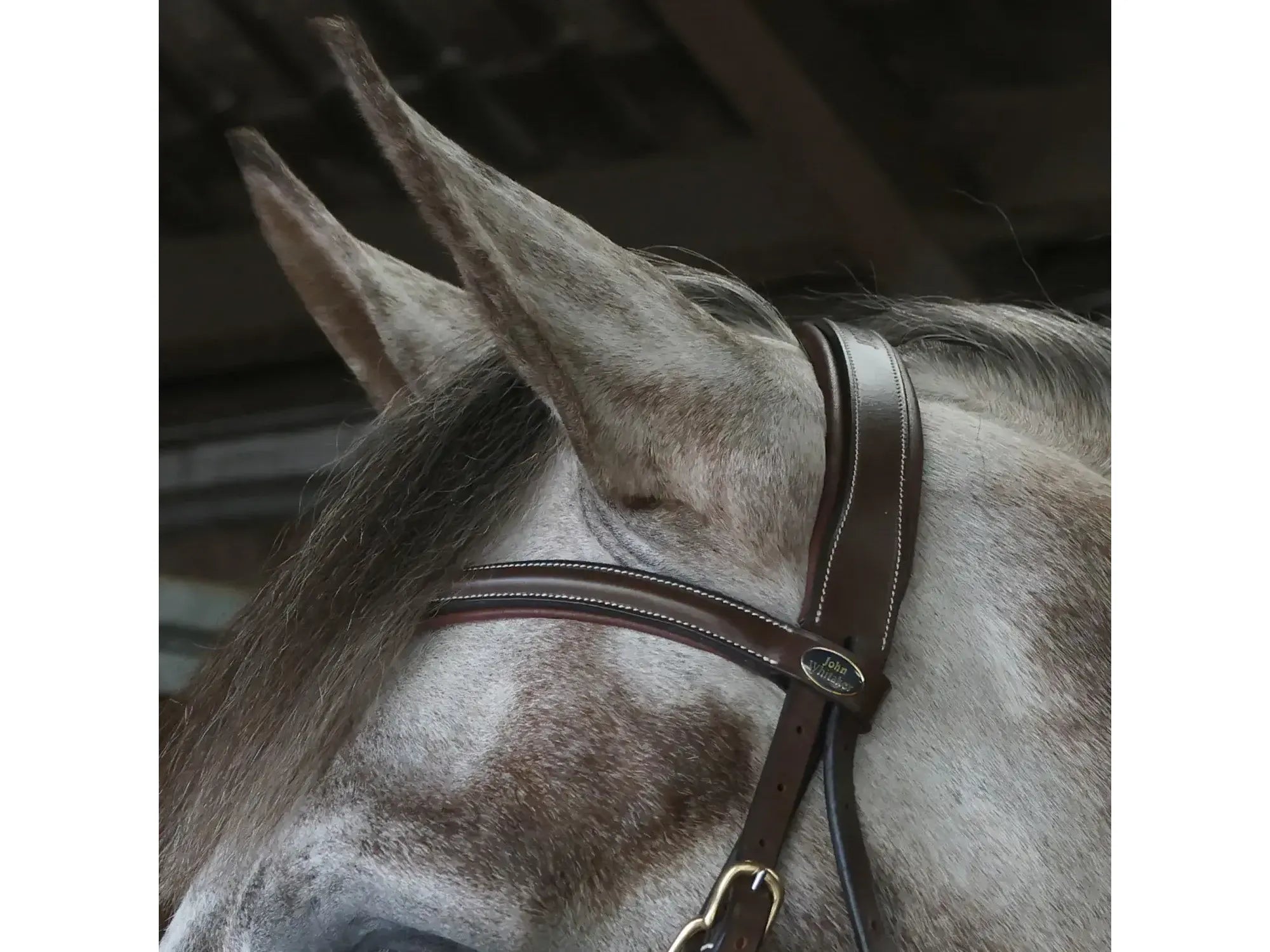 John Whitaker Stockholm Bridle with Reins - Available in Cob or Full - Black or Havana, Pick'n'Mix