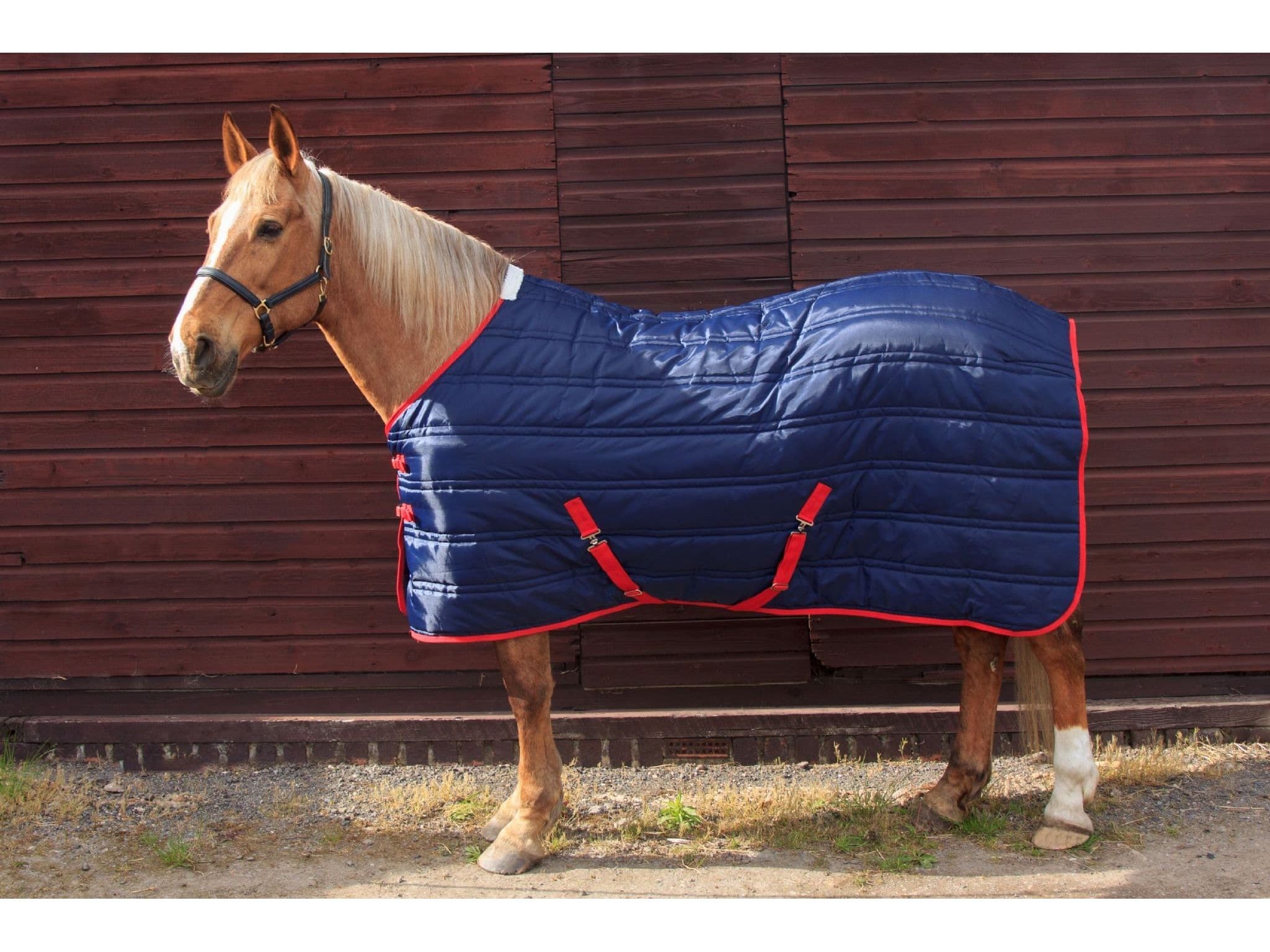 John Whitaker Thomas Stable Rug - Navy/Red