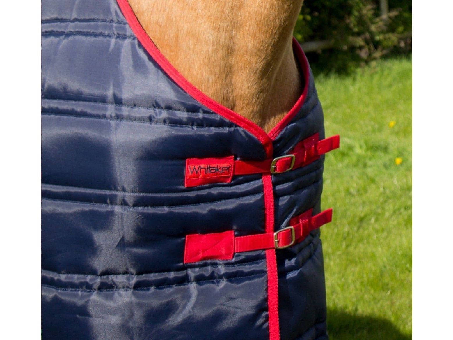 John Whitaker Thomas Stable Rug - Navy/Red