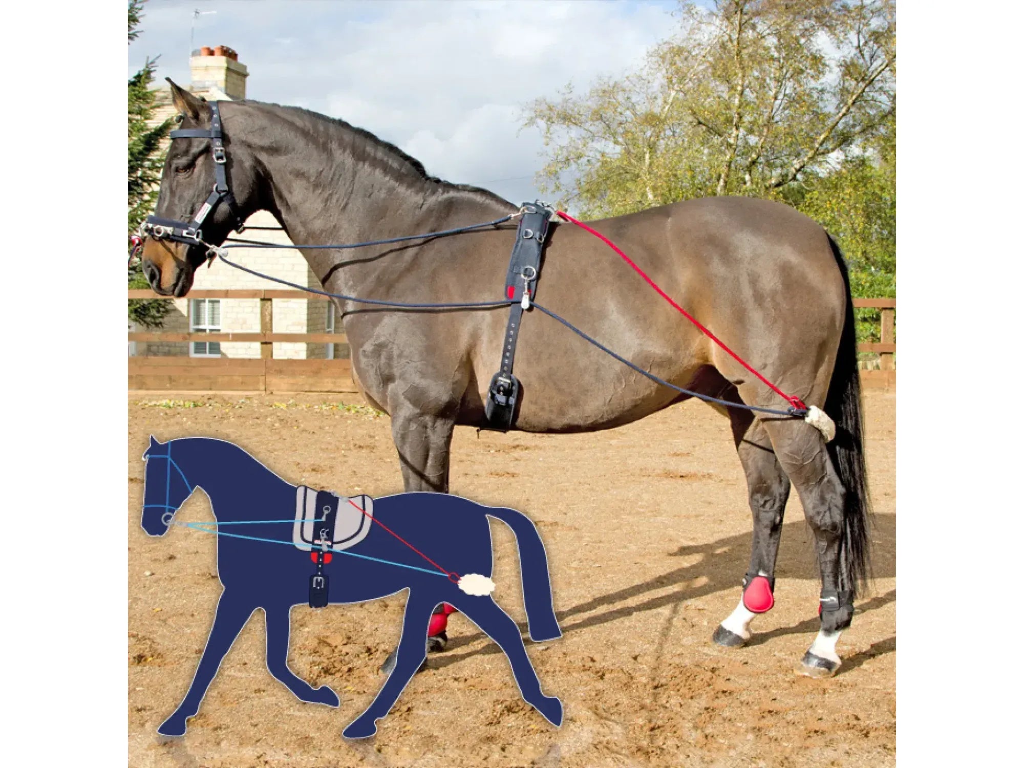 John Whitaker Training System