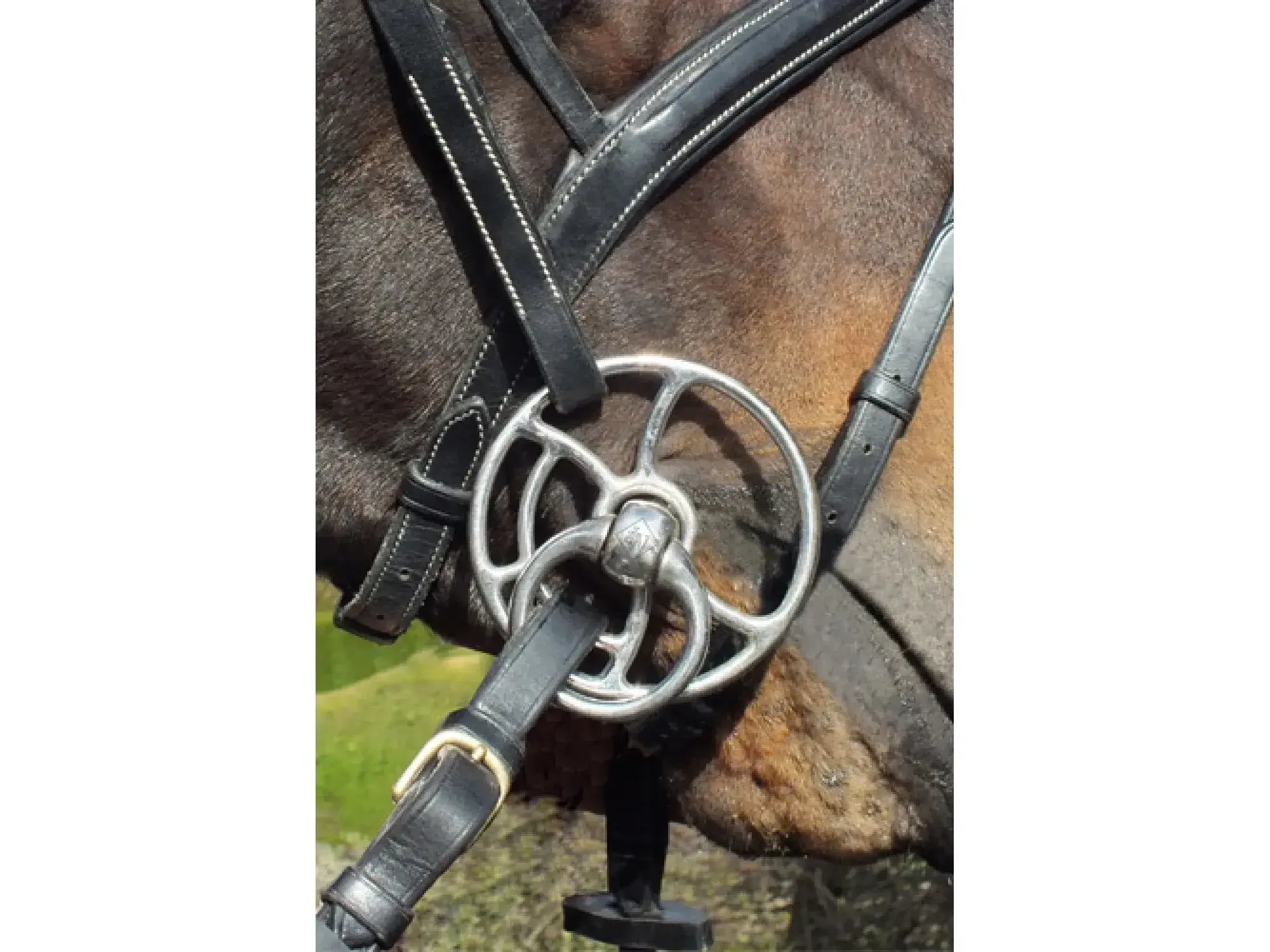 John Whitaker Twisted Bars Mouth