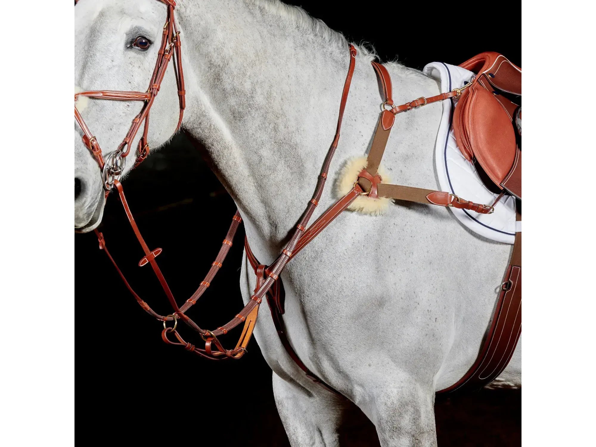 John Whitaker Valencia 5 Point Breastplate