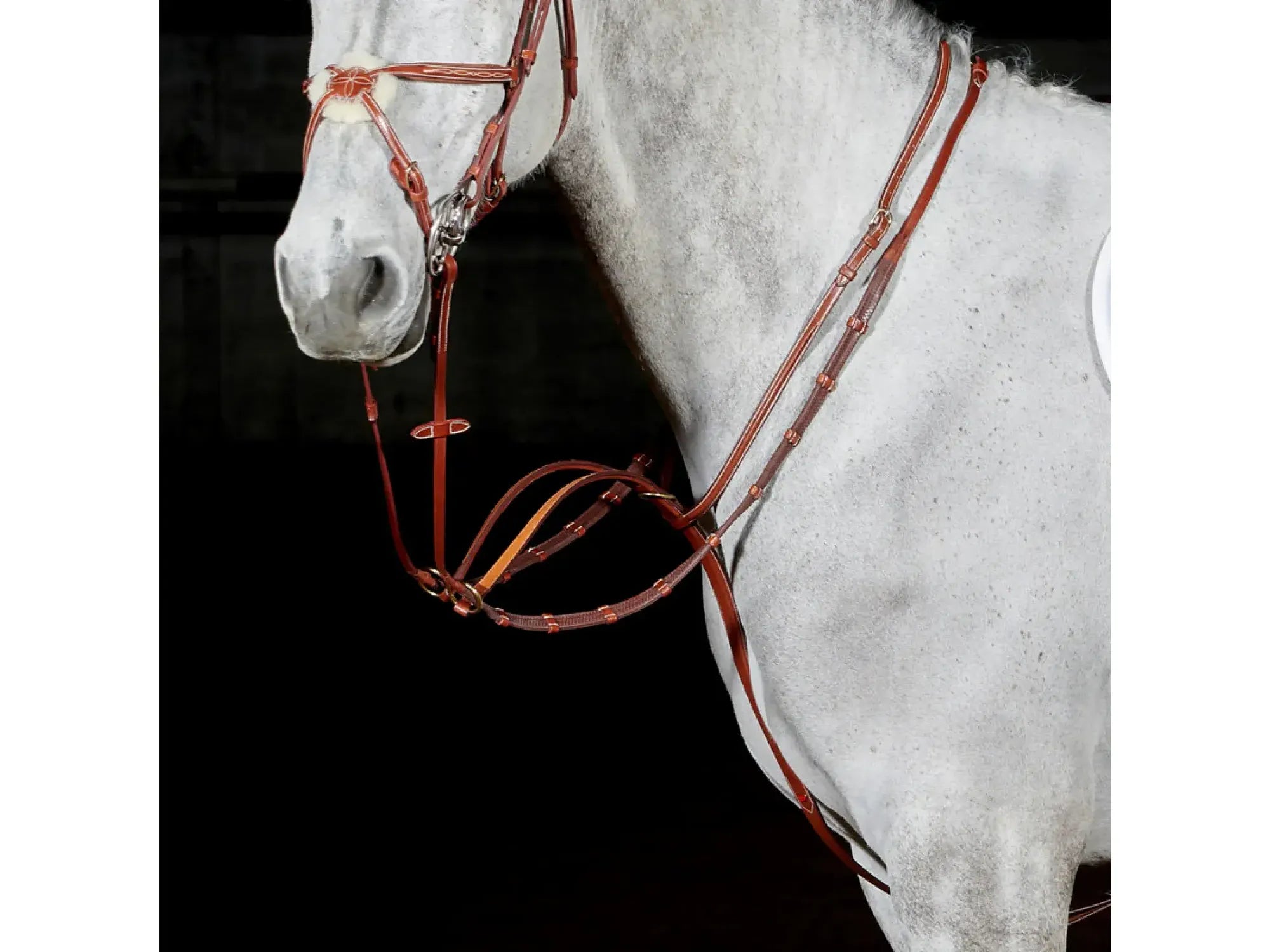 John Whitaker Valencia Luxury Martingale