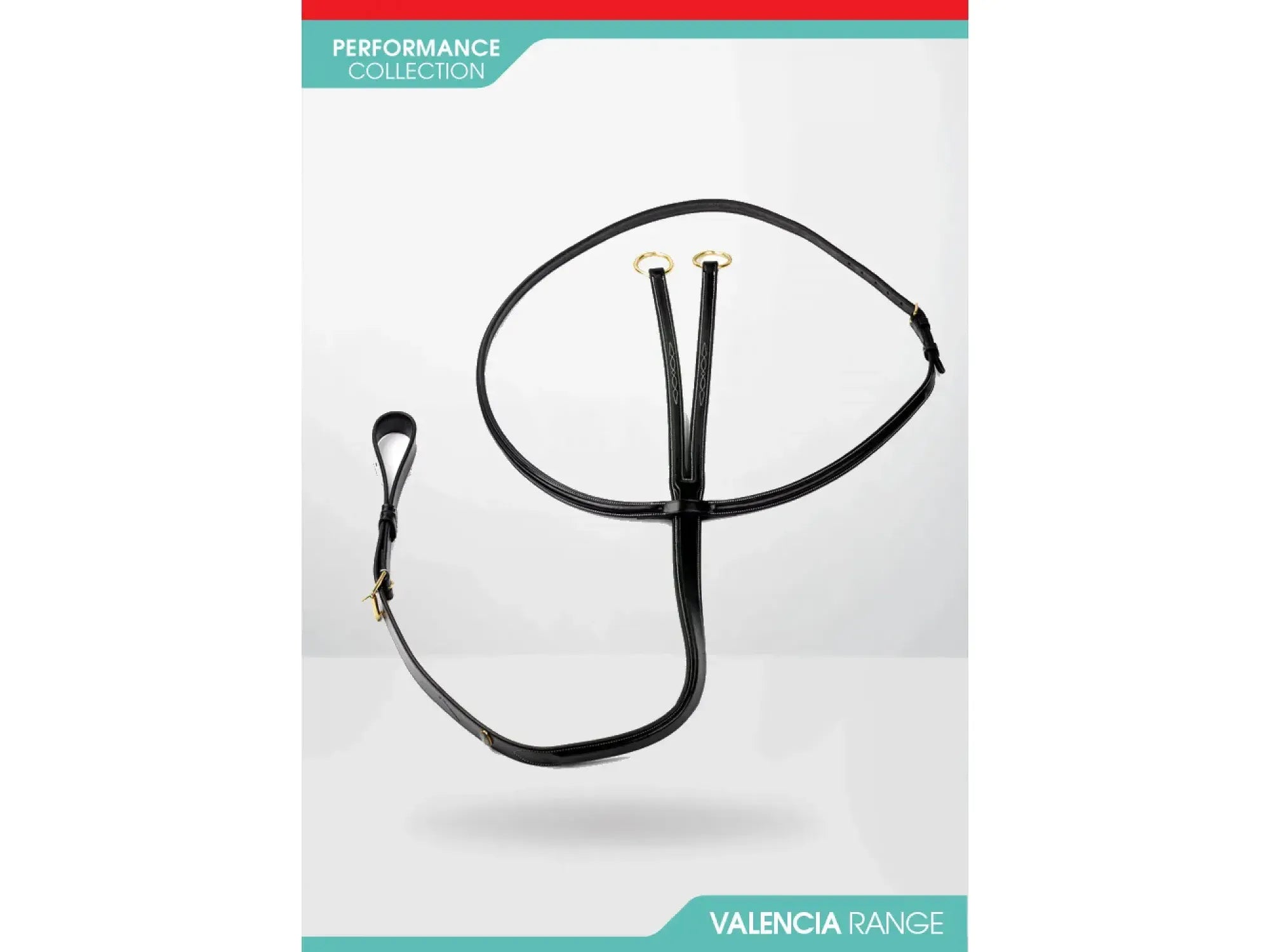 John Whitaker Valencia Luxury Martingale