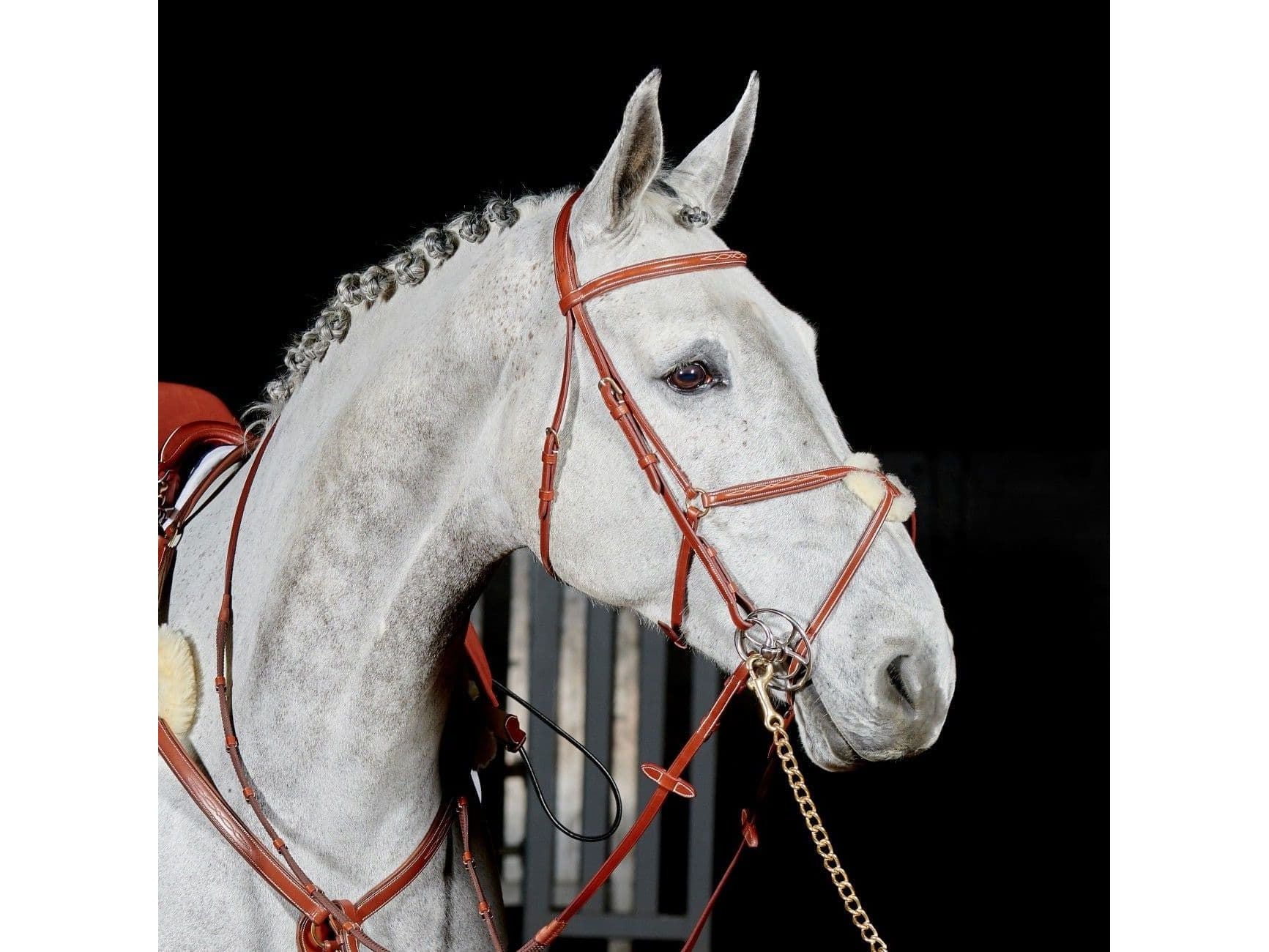 John Whitaker Valencia Super Deluxe Flash Bridle with Reins