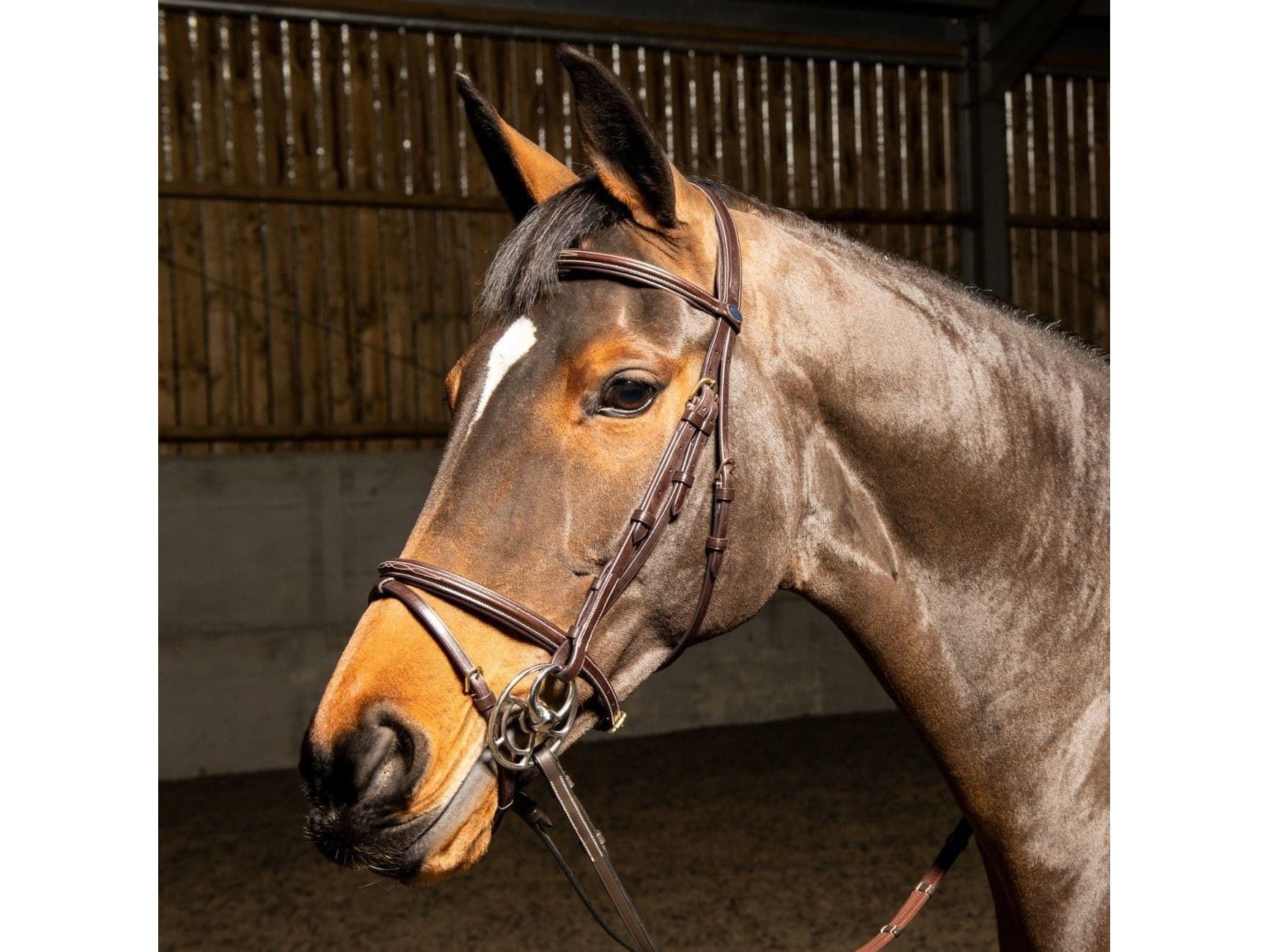 John Whitaker Valencia Super Deluxe Flash Bridle with Reins