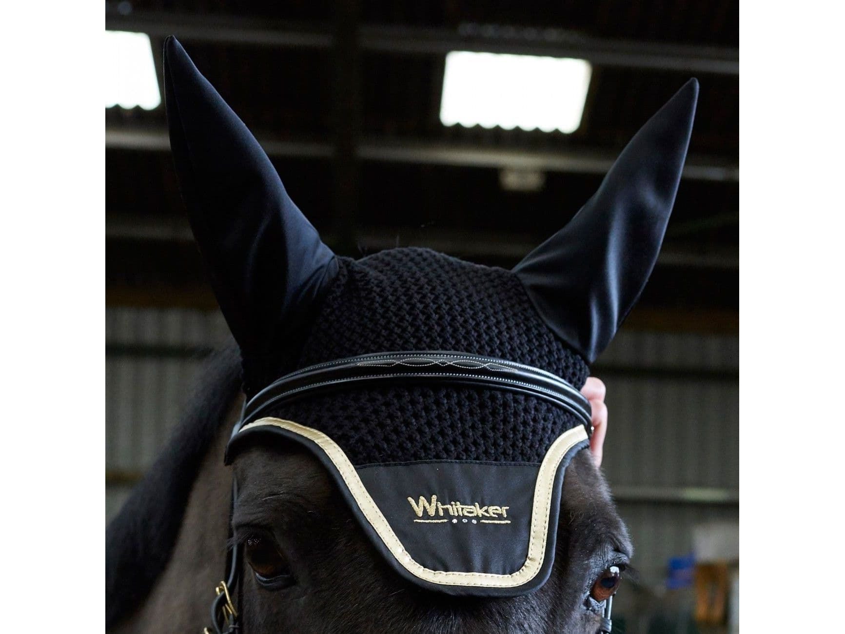 John Whitaker Valencia Super Deluxe Flash Bridle with Reins