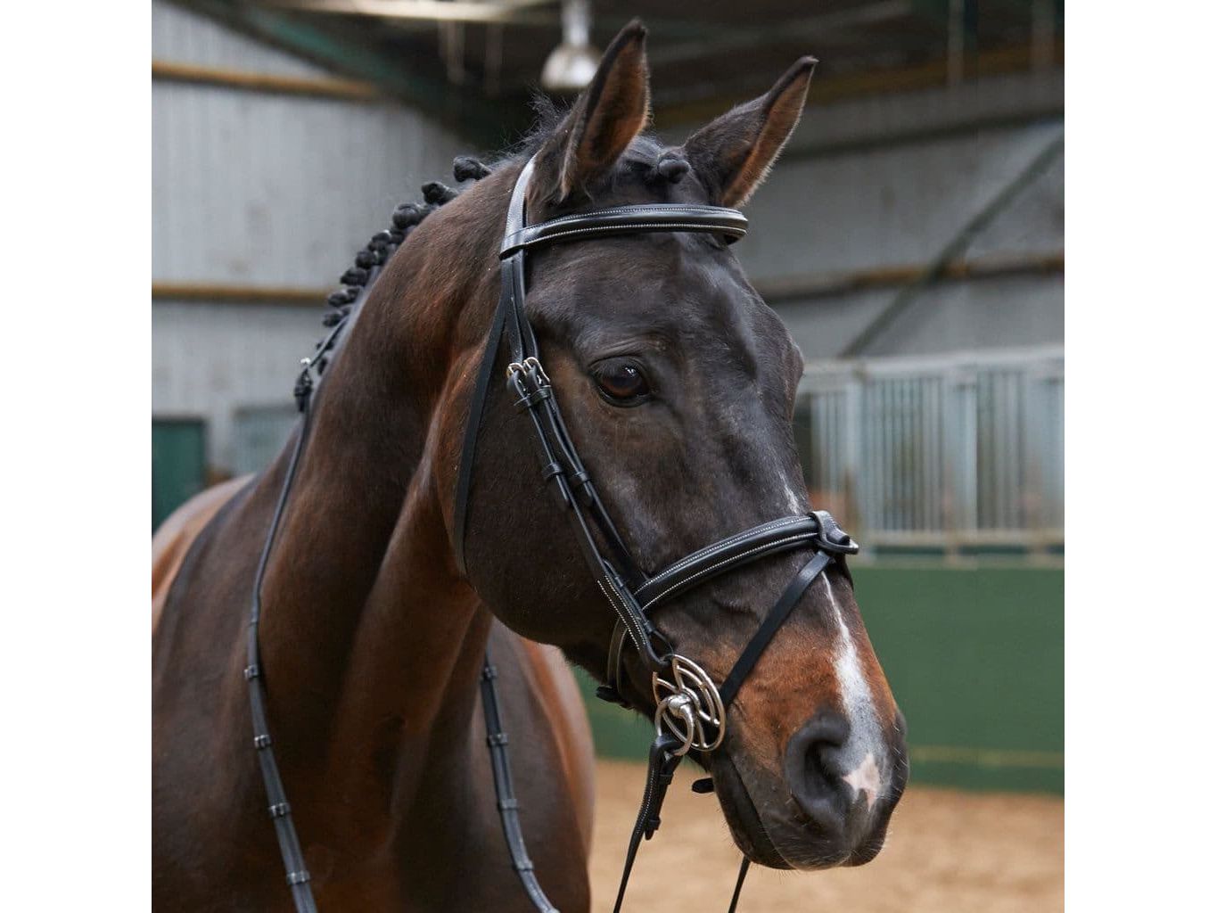 John Whitaker Valencia Super Deluxe Mexican Bridle with Reins