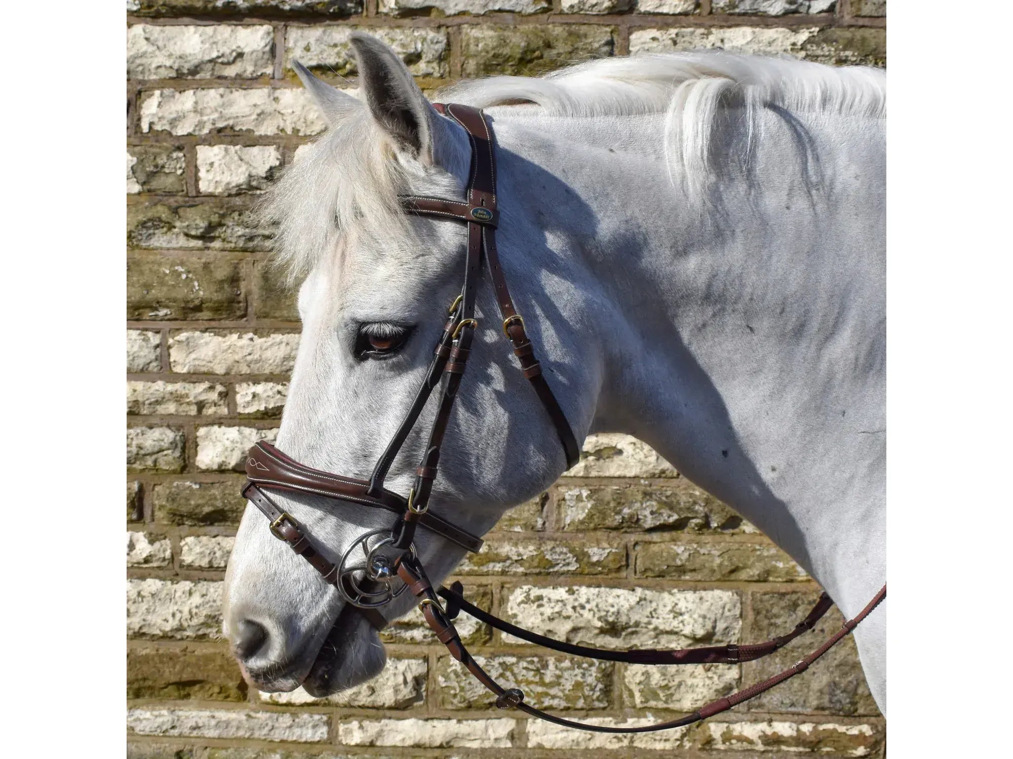 John Whitaker Venice Bridle with Reins - Available in Cob or Full - Black or Havana, Pick'n'Mix