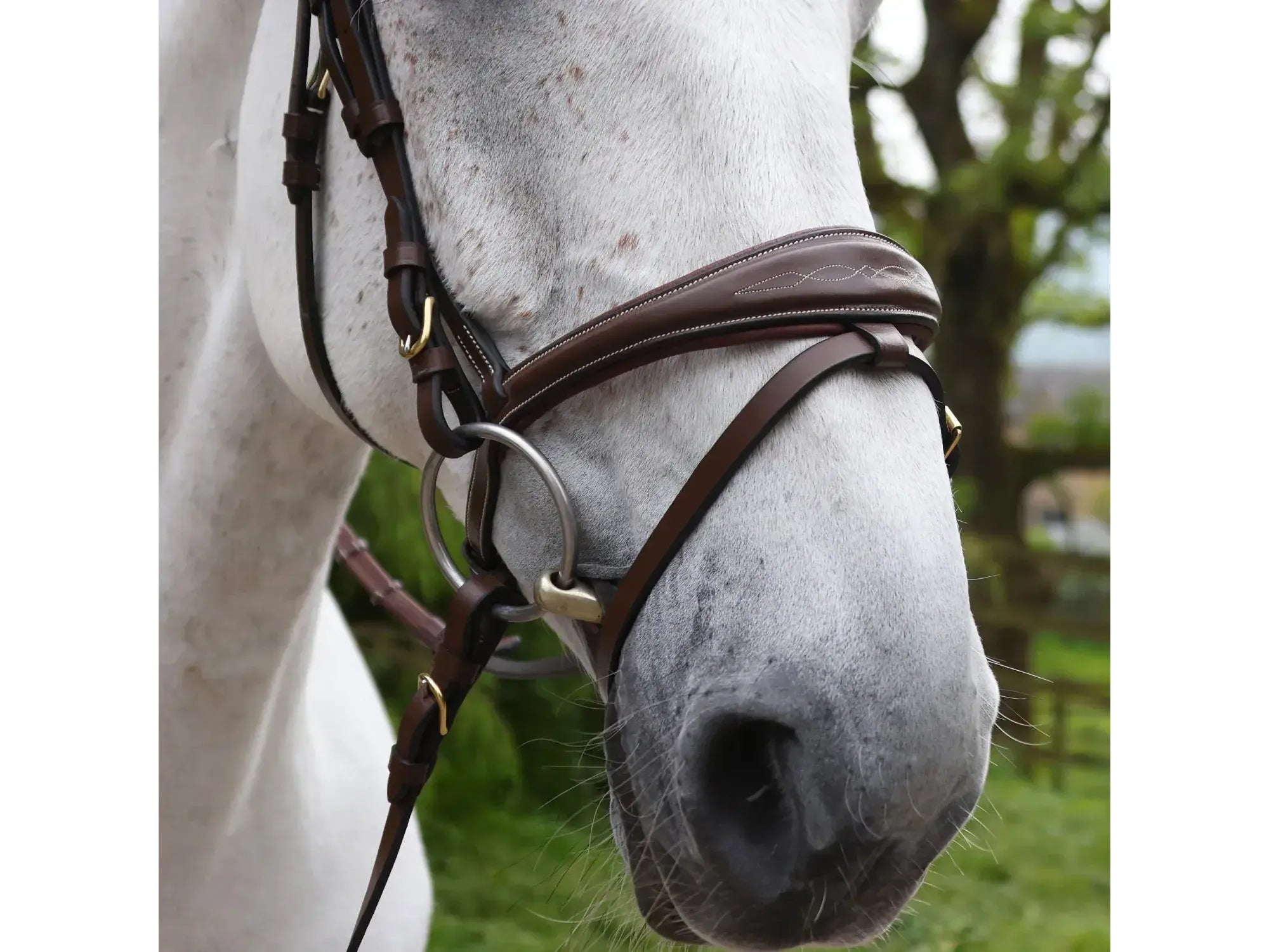 John Whitaker Venice Bridle with Reins - Available in Cob or Full - Black or Havana, Pick'n'Mix