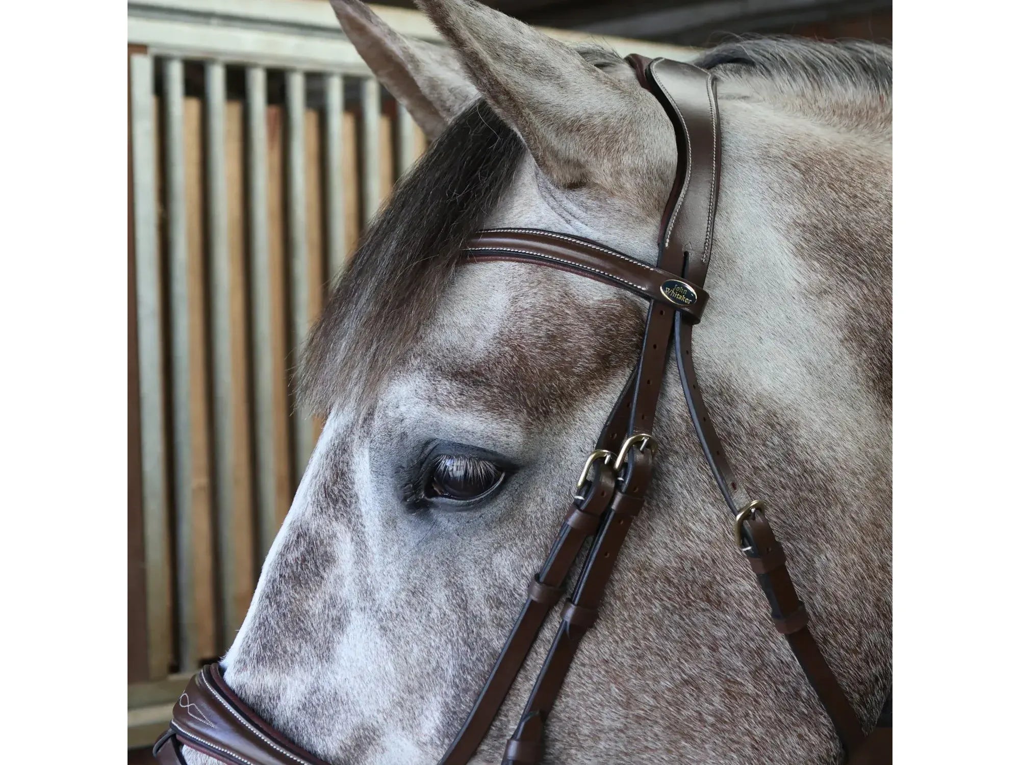 John Whitaker Venice Bridle with Reins - Available in Cob or Full - Black or Havana, Pick'n'Mix