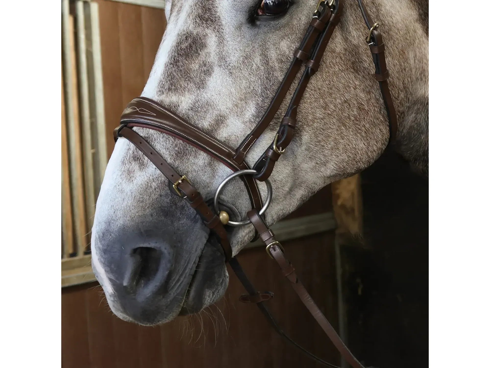 John Whitaker Venice Bridle with Reins - Available in Cob or Full - Black or Havana, Pick'n'Mix