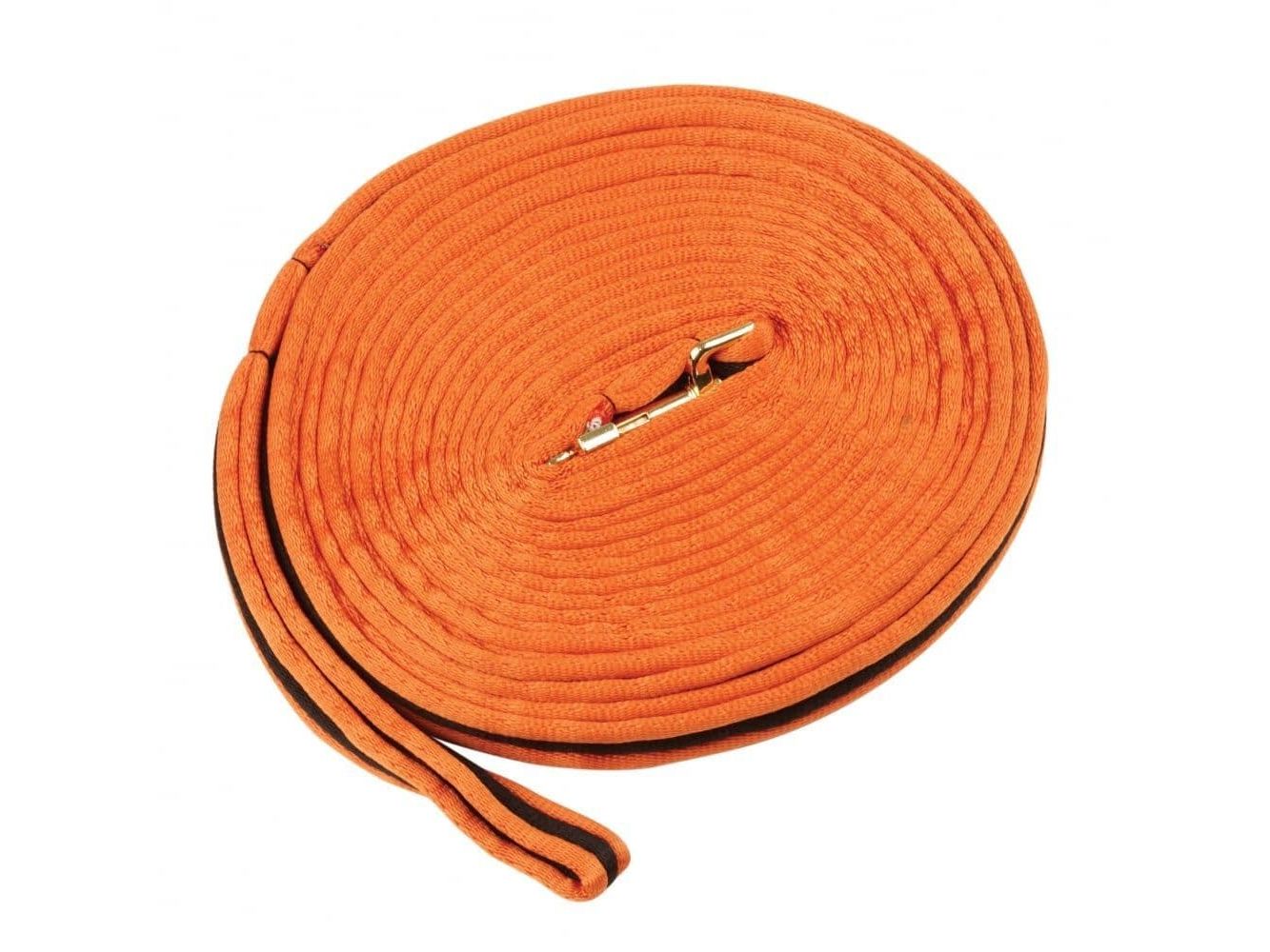 Kincade Brights Two Tone Padded Lunging Rein