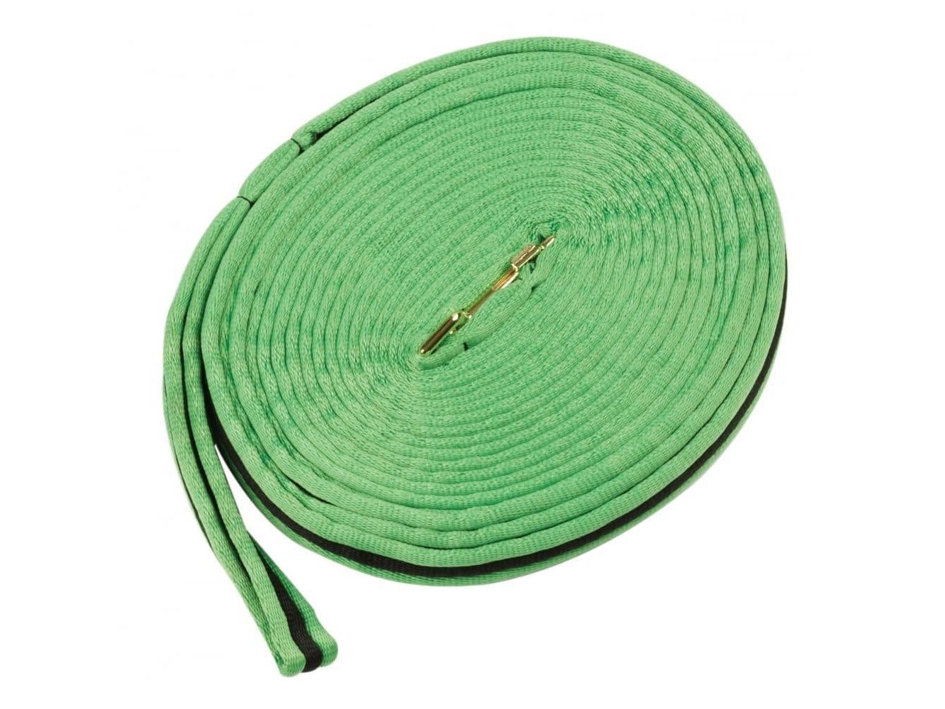 Kincade Brights Two Tone Padded Lunging Rein