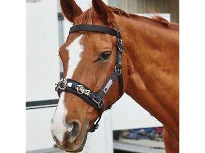 Kincade Coordinate Lunge Cavesson