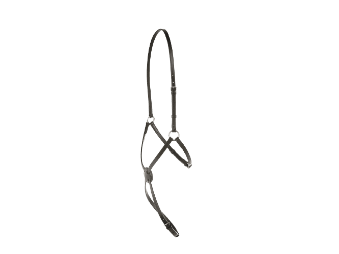 Kincade Grackle Noseband II