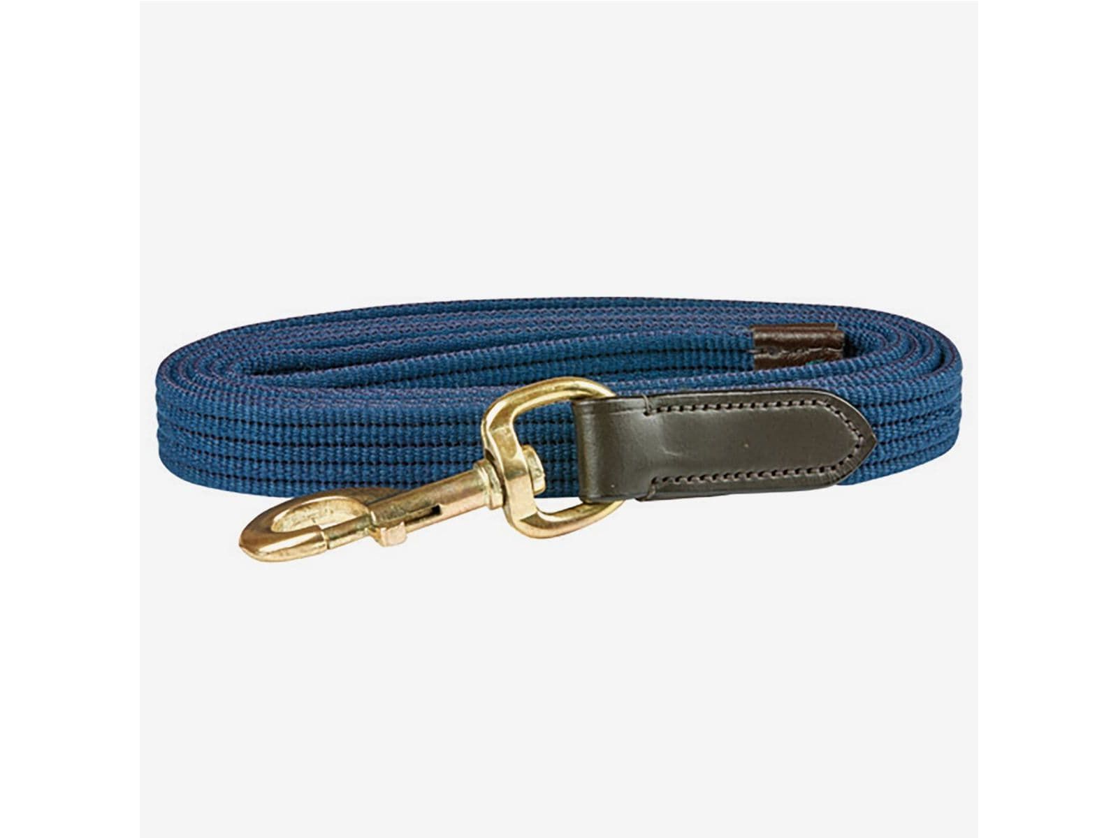 Kincade Leather Web Lead