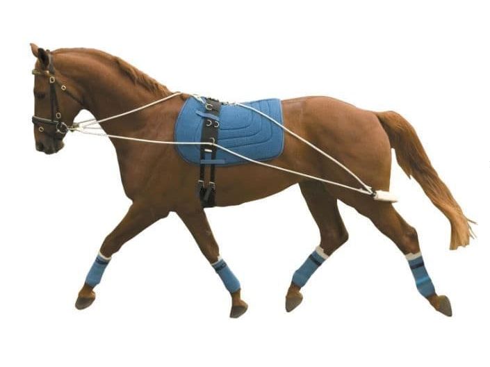 Kincade Lunging Training System