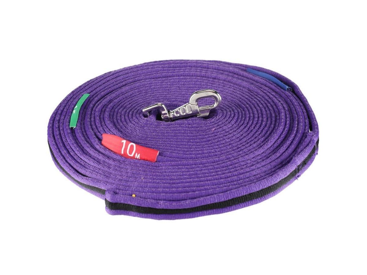 Kincade Two Tone Lunge Line With Circle Markers