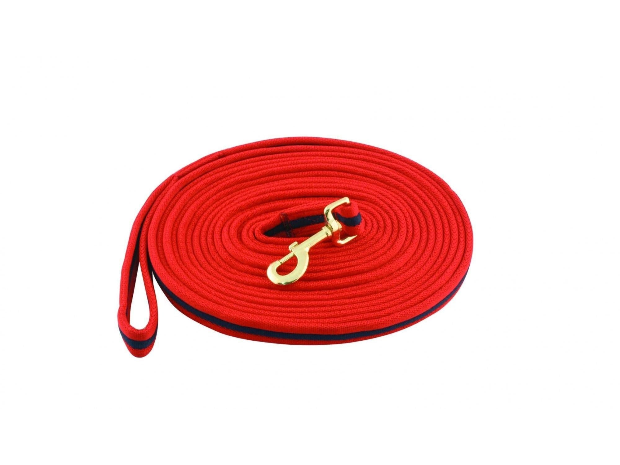 Kincade Two Tone Padded Lunging Rein