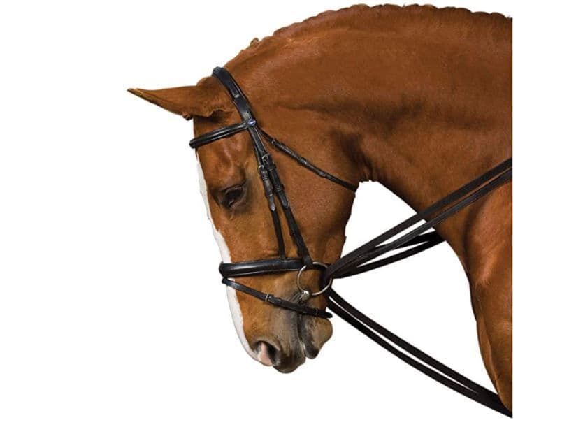 Kincade Web Draw Reins