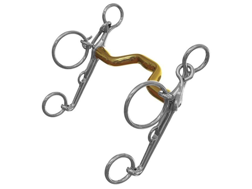 Neue Schule Warmblood Show Pelham